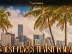 15-Best-Places-to-Visit-in-Miami-That-Will-Thrill-Every-Travel-Lover