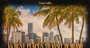 15-Best-Places-to-Visit-in-Miami-That-Will-Thrill-Every-Travel-Lover