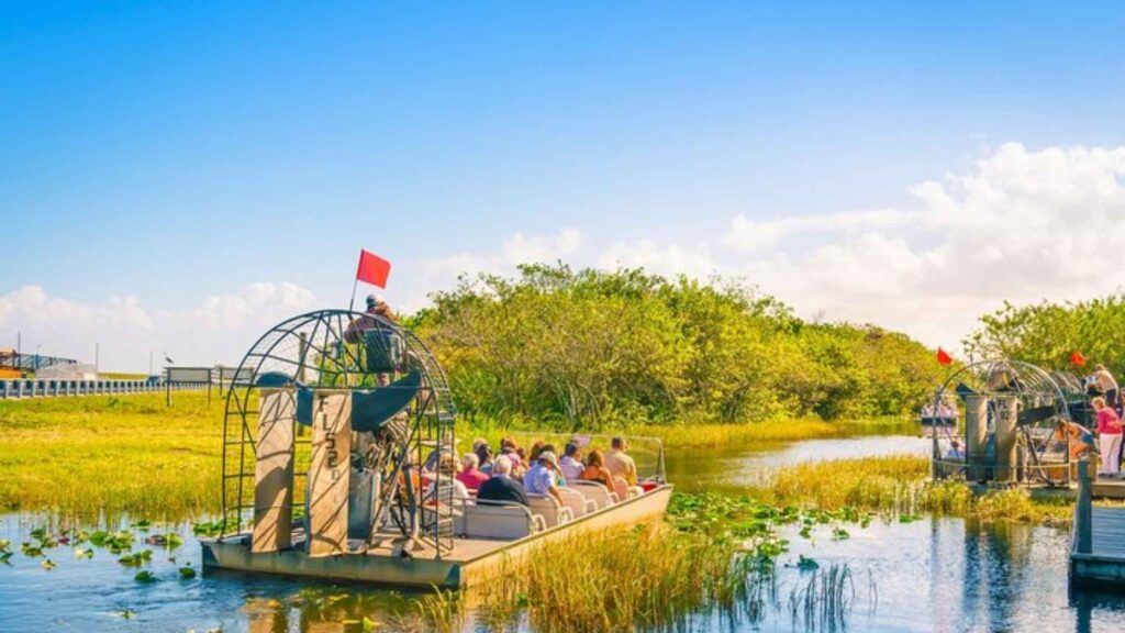 a-natural-wonder-of-the-everglades-national-park-near-miami