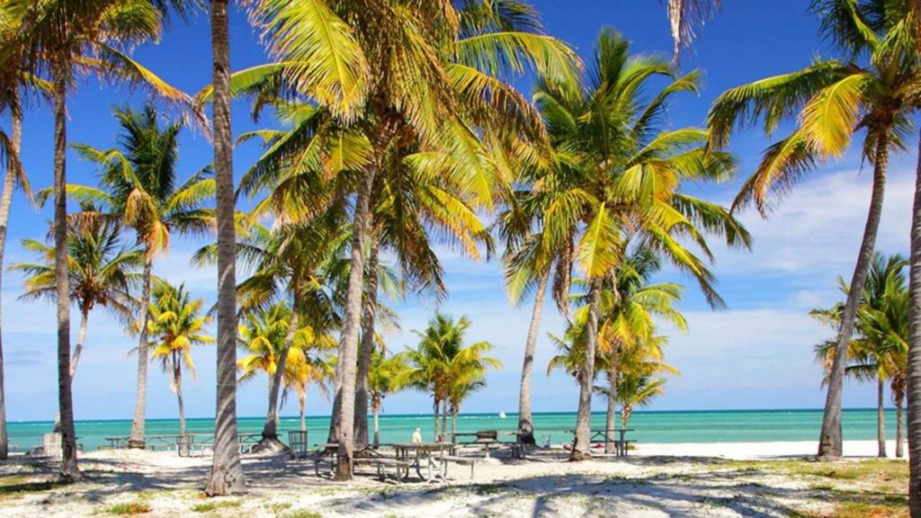 crandon-park-miamis-hidden-paradise